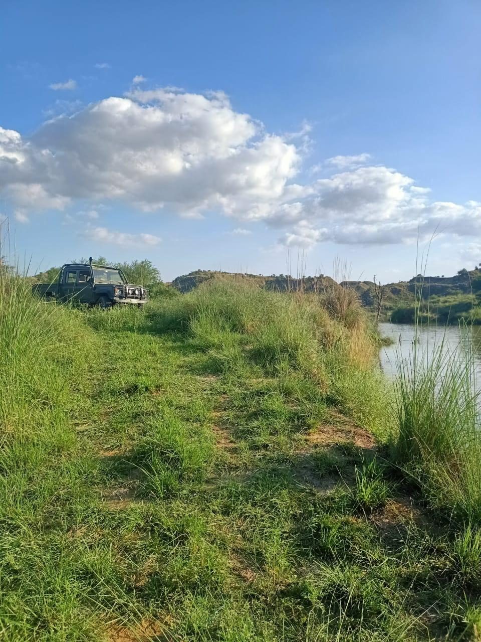 Trail vehicle along the reserve's wetland edge
