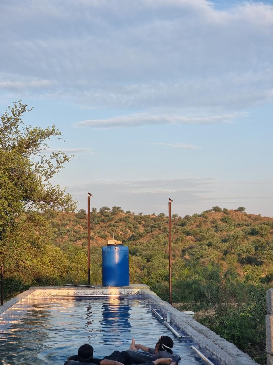 Infinity pool overlooking the reserve
