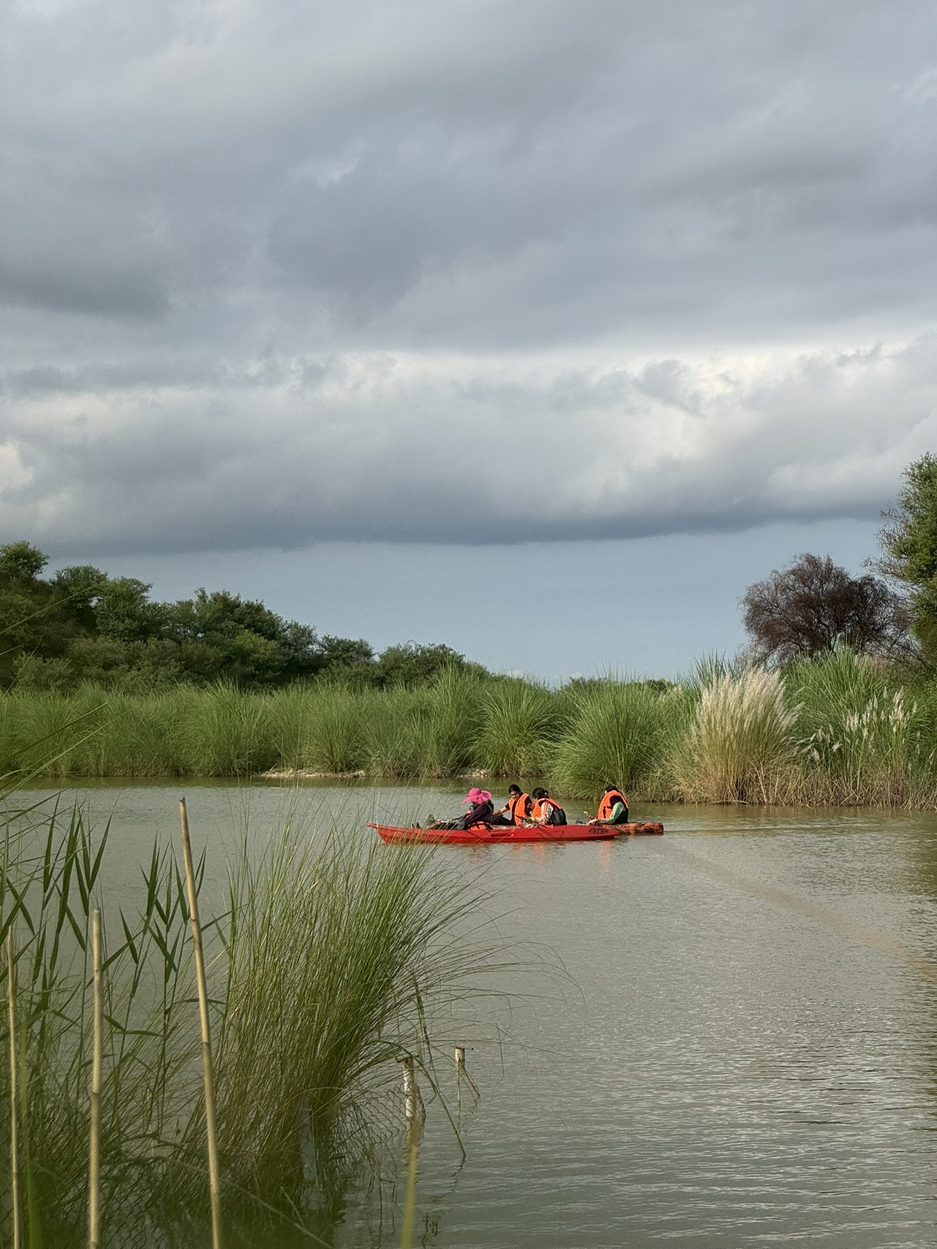 Kayaking on the reserve's wetland