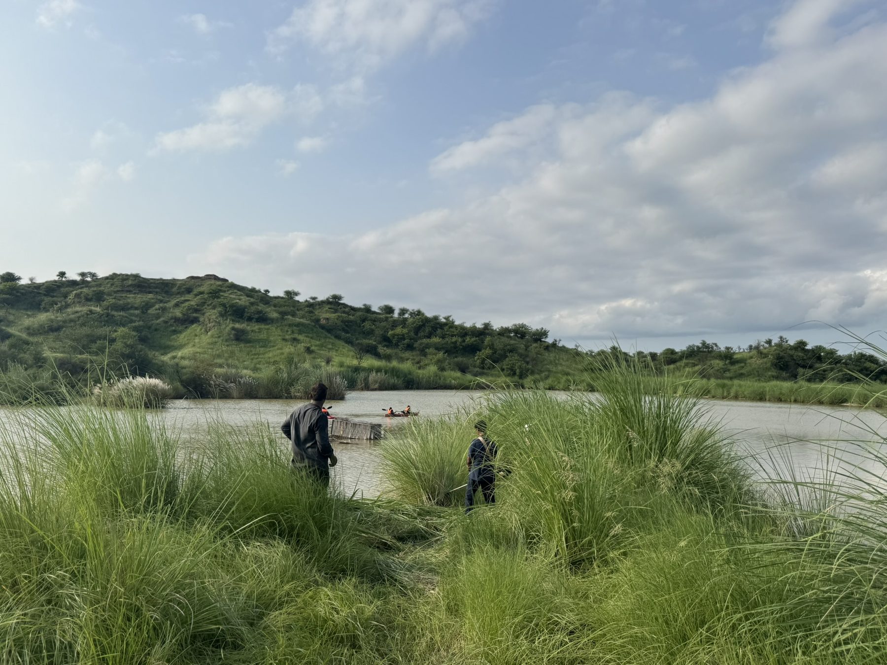 Researchers wading through the reserve's wetland grasses
