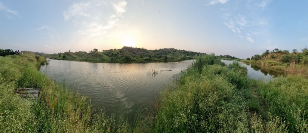 whatsapp image 2025 08 20 at 5.25.49 am