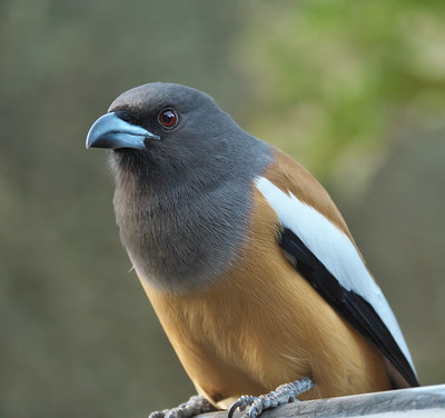 49716323036 62e194b9a0 w