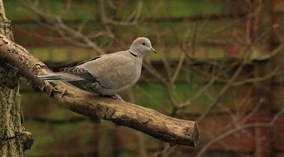 50827509503 25df7eab01 w