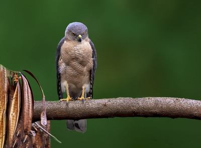 51719548543 9d574b00fd w