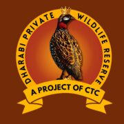 • premium quality dpwr logo• 20230821 221422 0000